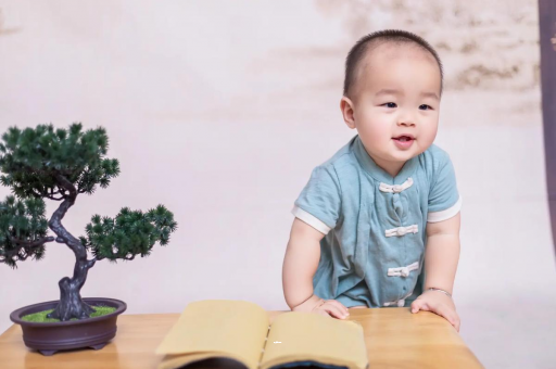哈密可爱的企鹅宝宝